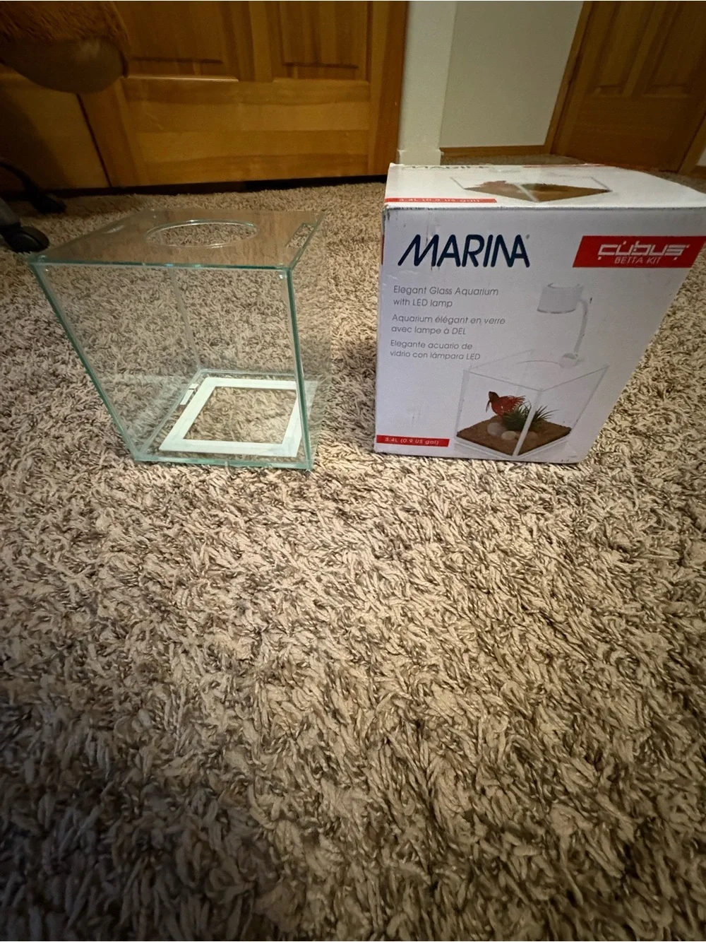 Glass Betta Fighting Fish Desktop Tank with lid and box New In Box no light - Picture 1 of 5